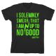 Picture of Harry Potter I Solemnly Swear Unisex Youth Tee