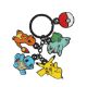 Picture of Pokemon Multi Charm Keychain