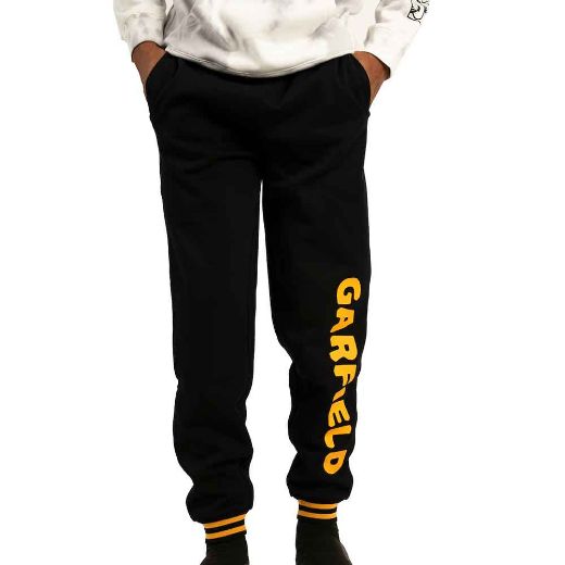 Picture of Garfield Washed Hoodie & Joggers Combo 