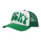 Picture of Bioworld St. Patrick's Day Lucky Trucker