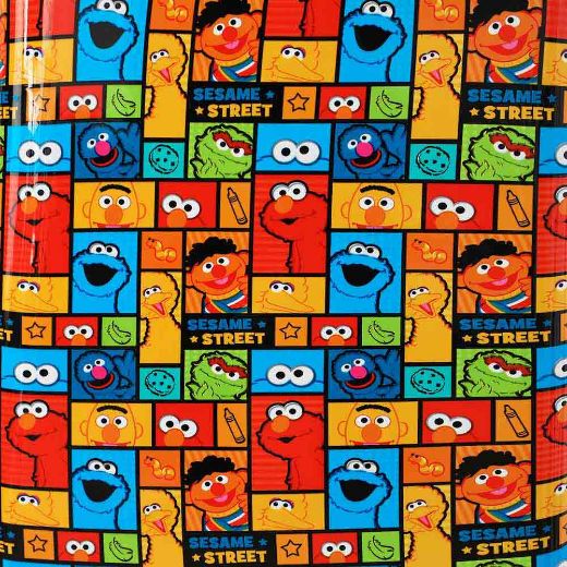 Picture of Sesame Street 20 in. Rolling Luggage