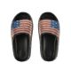 Picture of American Flag Black Cloud Slides