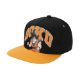 Picture of Dragon Ball Z Goku Youth Flat Bill Snapback