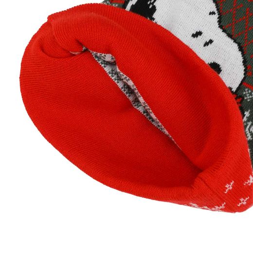 Picture of Peanuts Snoopy Christmas Santa Hat