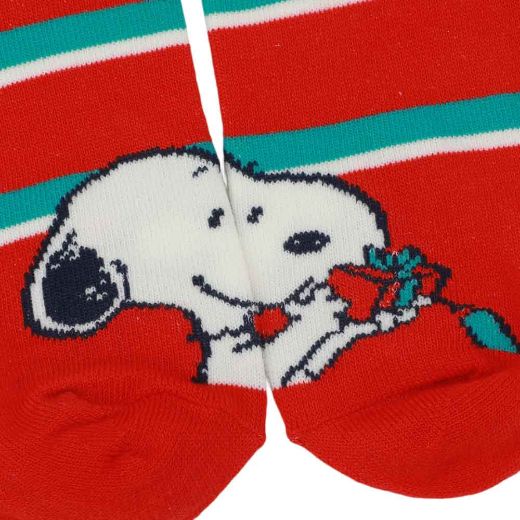 Picture of Peanuts 5 Pair Ankle Socks