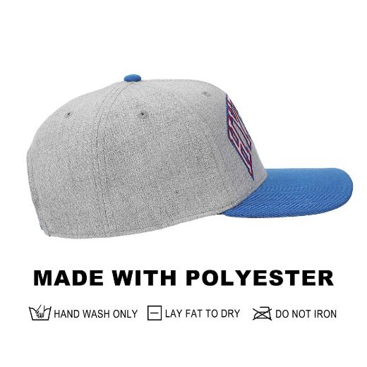 Picture of The Legend of Zelda Hyrule Curved Bill Snapback