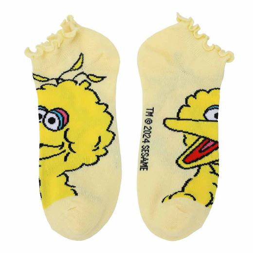 Picture of Sesame Street 5 Pair Ankle Socks