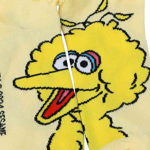 Picture of Sesame Street 5 Pair Ankle Socks