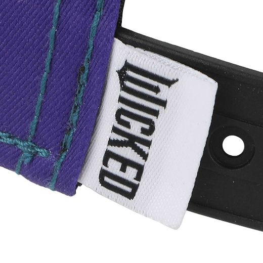 Picture of Wicked Metallic Defy Gravity Hat