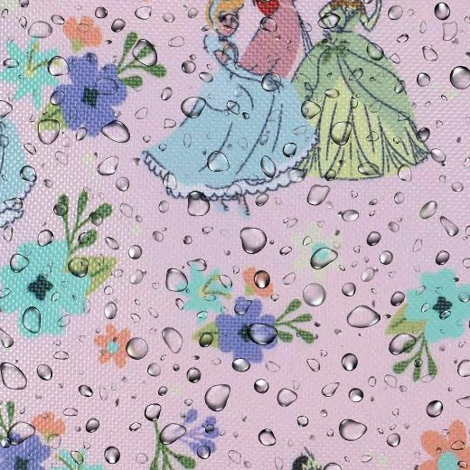 Picture of Disney Princess Utility Case