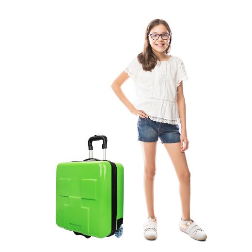 Picture of Minecraft 15 in. 3D Rolling Luggage